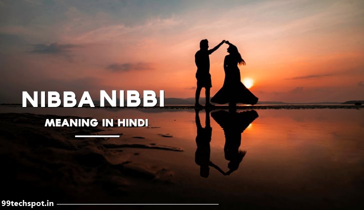 Nibba nibbi meaning In hindi
