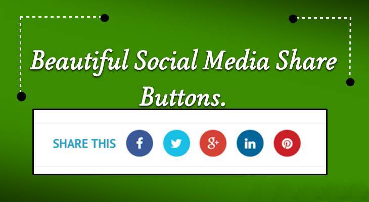 Stylish Social Share Button For Blog Website