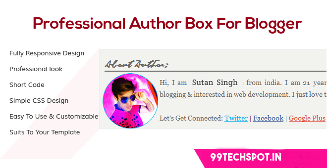 Stylish author box for website