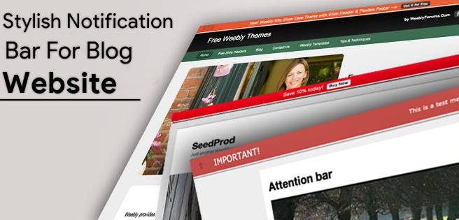 How To Add Stylish Notification Bar Top On Website