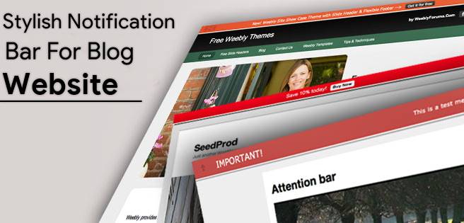 Stylish notification bar for blog website