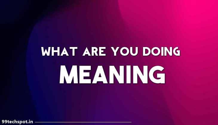 What Are You Doing Meaning In Hindi – व्हाट आर यू डूइंग का हिंदी मतलब।