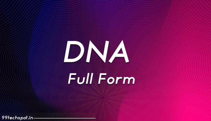 DNA Full Form in Hindi – What is DNA Structure?