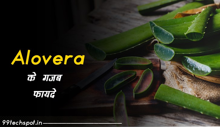 एलोवेरा के प्रयोग से फायदे – Benefits Of Alovera In Hindi